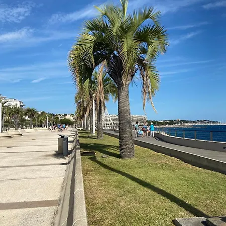 Rez De Jardin Cote Piscine - Clim *